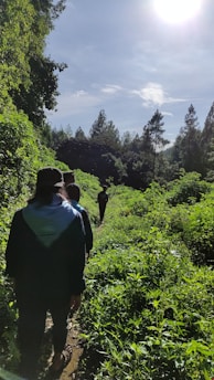 Women hiking through a sunlit forest trail surrounded by tall trees.