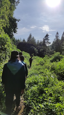 A small group enjoying a guided walk through lush New Zealand forest on a sunny day.