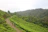 A couple walking hand-in-hand along a lush green tea plantation in Munnar.