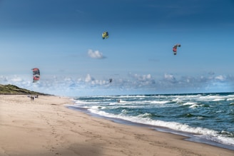 Remote Workers Paradise 