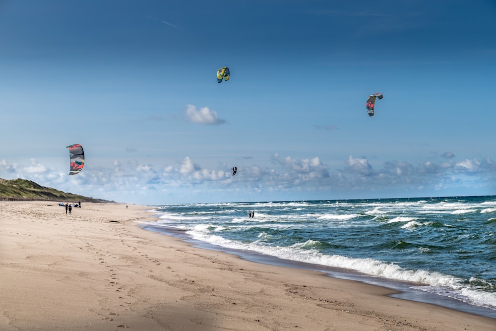 a group of people flying kites on top of a sandy beach