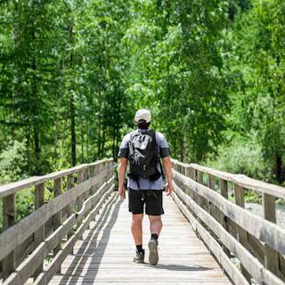 Backpackers crossing a wooden bridge over a sparkling river in a forest.