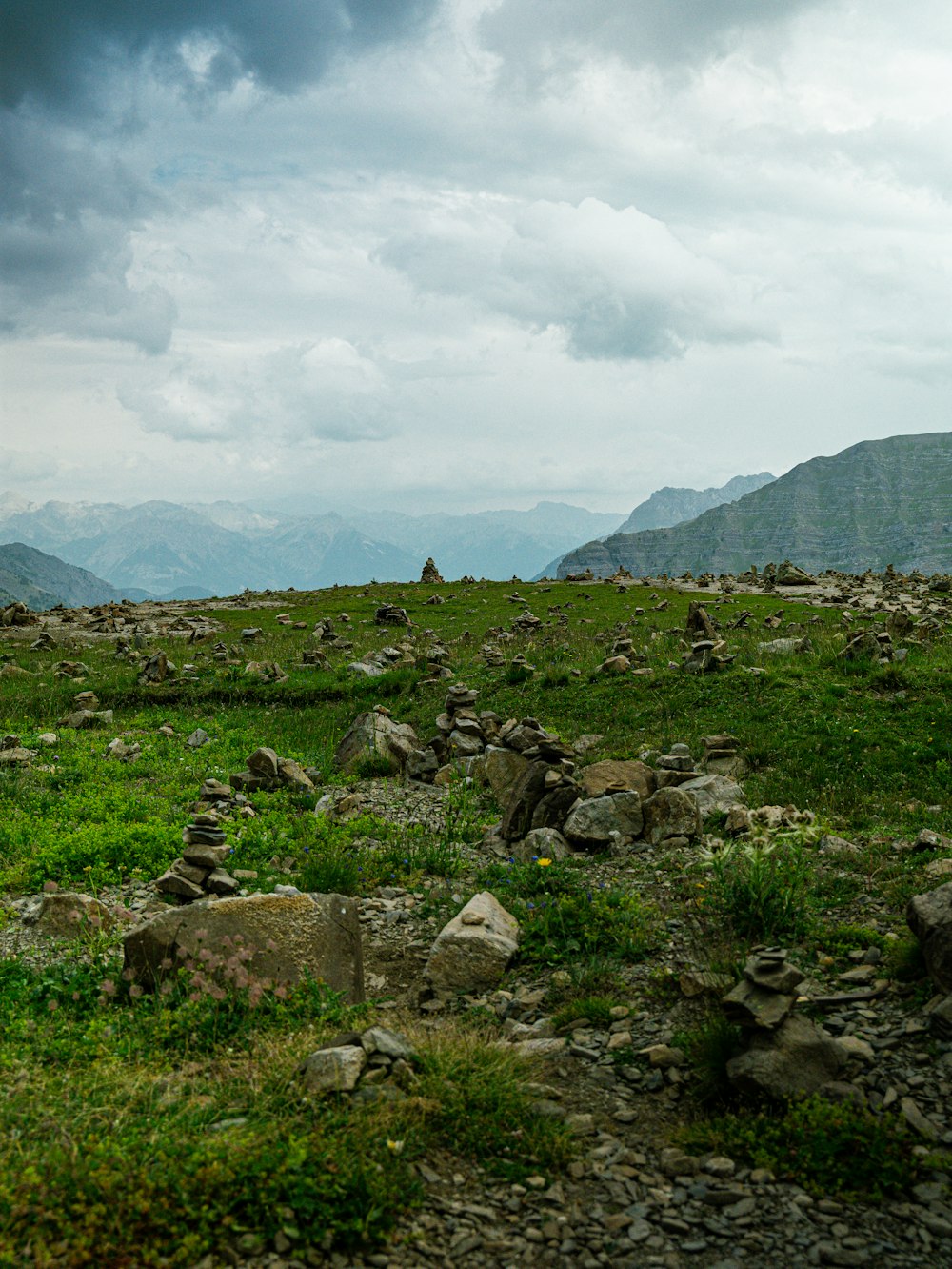 a field with rocks and grass and mountains in the background