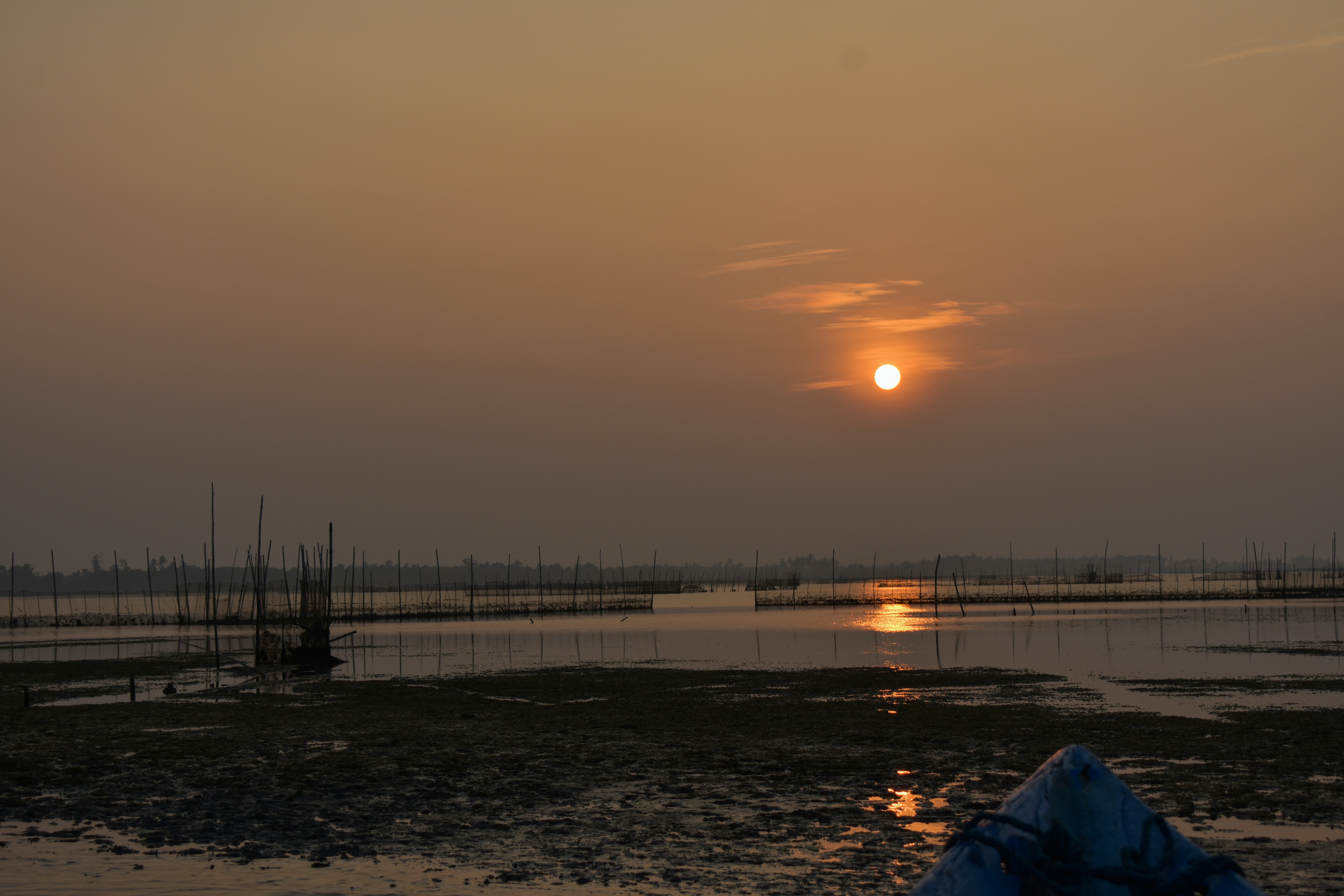 Photo by neelakshi_singh_