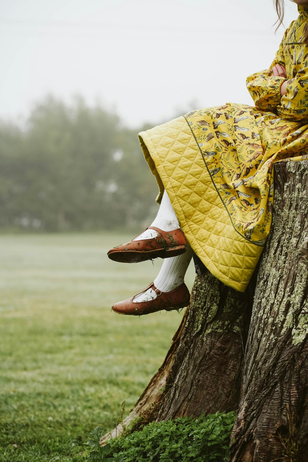 a person sitting on a tree with a yellow blanket