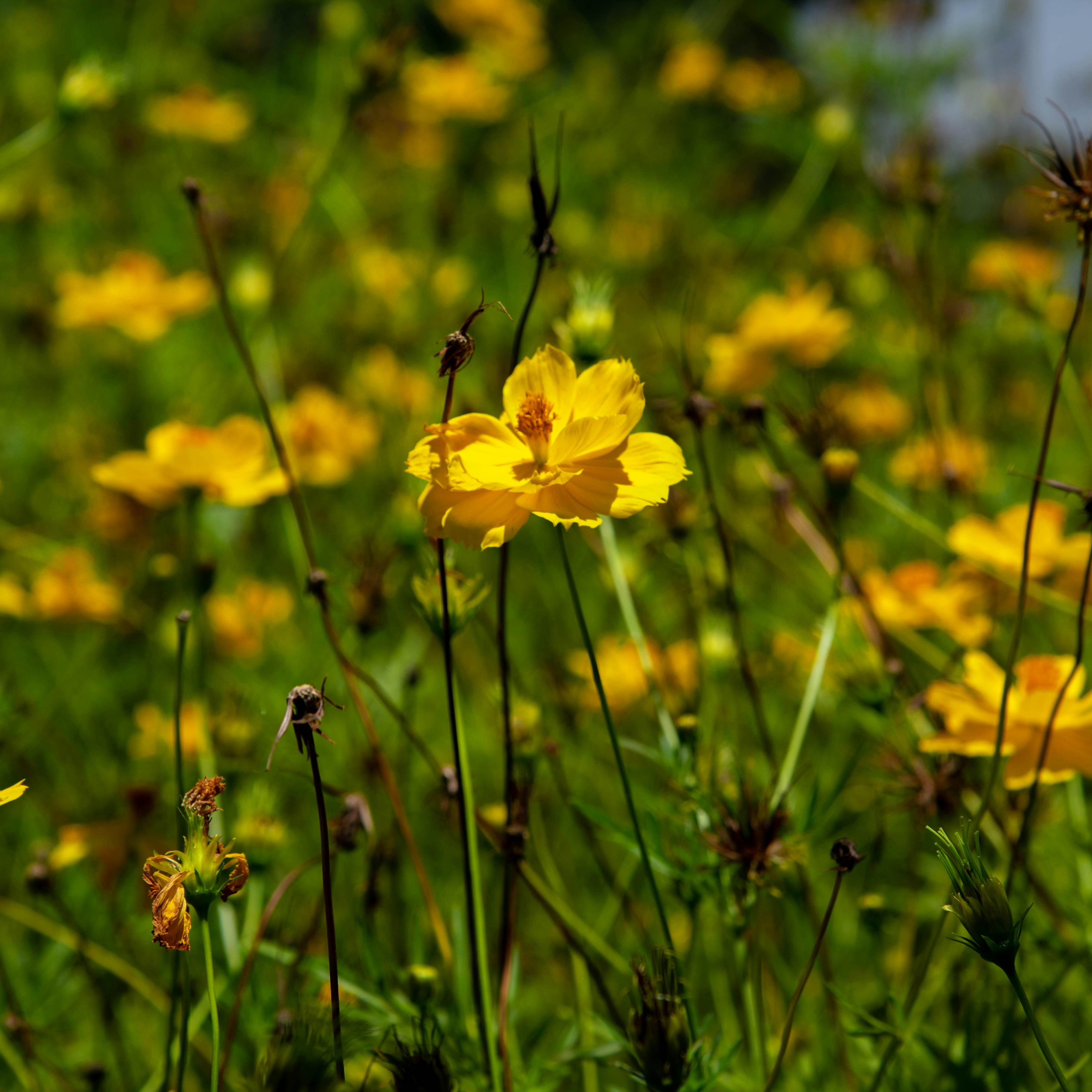 Photo by kurisuchanxx