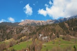 A picturesque mountain landscape features a range of rugged peaks capped with patches of snow, set against a bright blue sky with scattered fluffy clouds. Below, a dense forest of evergreen trees covers the lower slopes, transitioning into lush green meadows dotted with small wooden cabins.