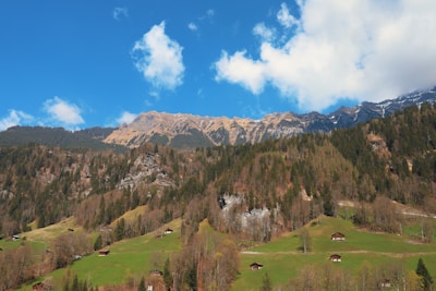 A picturesque mountain landscape features a range of rugged peaks capped with patches of snow, set against a bright blue sky with scattered fluffy clouds. Below, a dense forest of evergreen trees covers the lower slopes, transitioning into lush green meadows dotted with small wooden cabins.