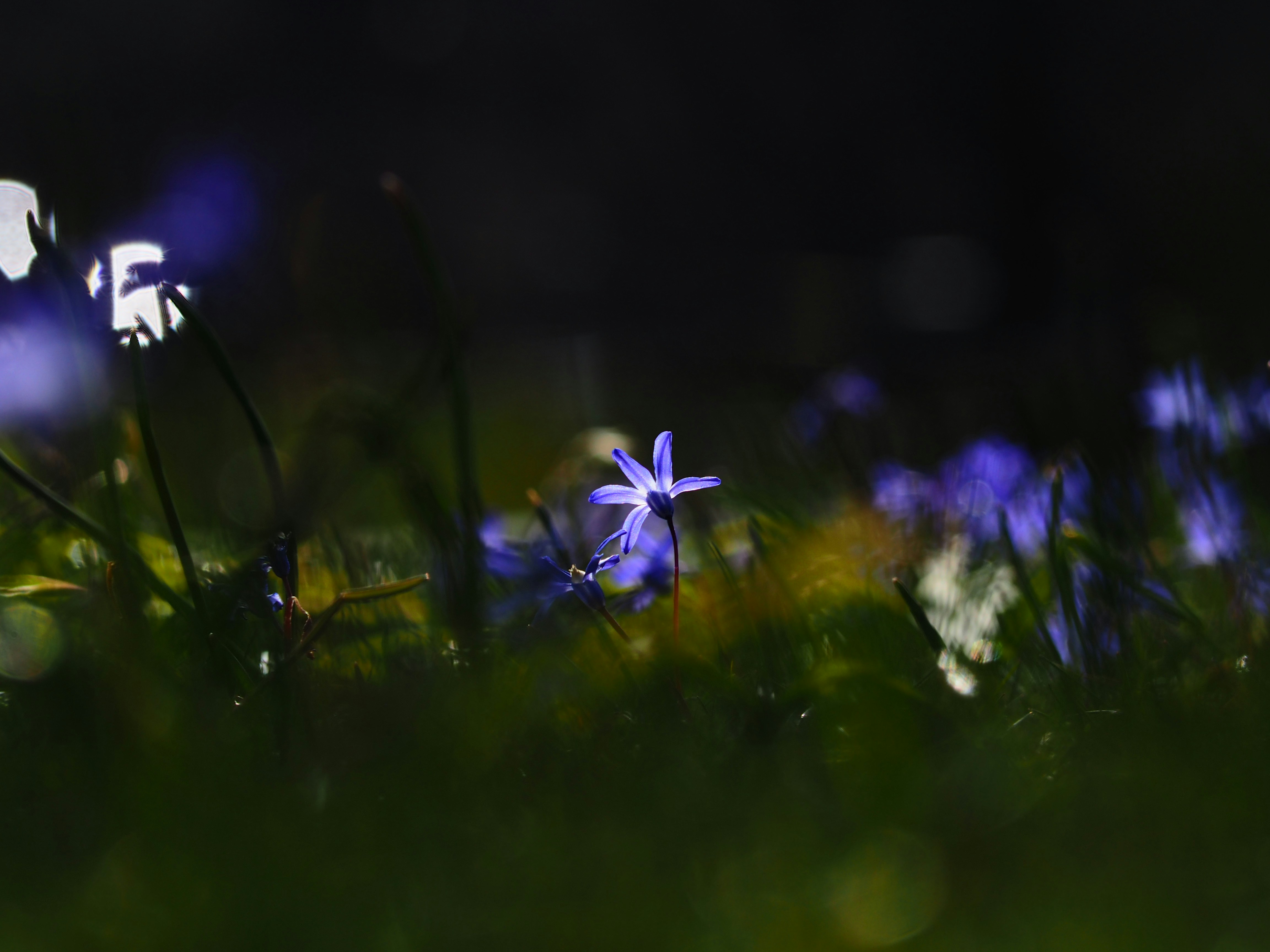 Photo by benji_da_vinci