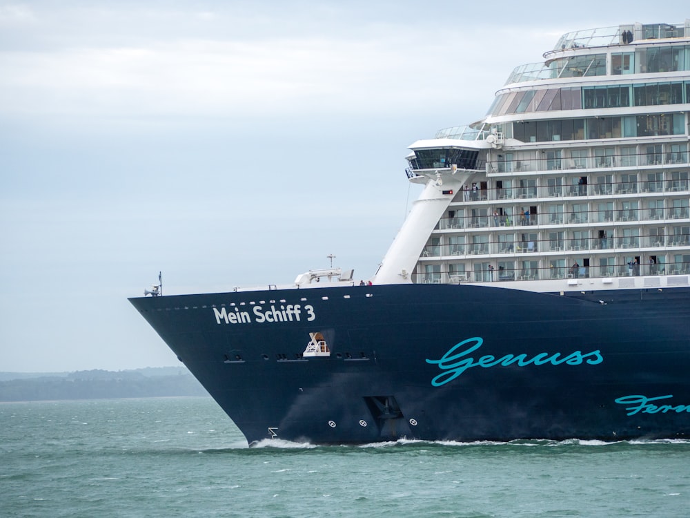 a large cruise ship in the water with a cruise ship in the background