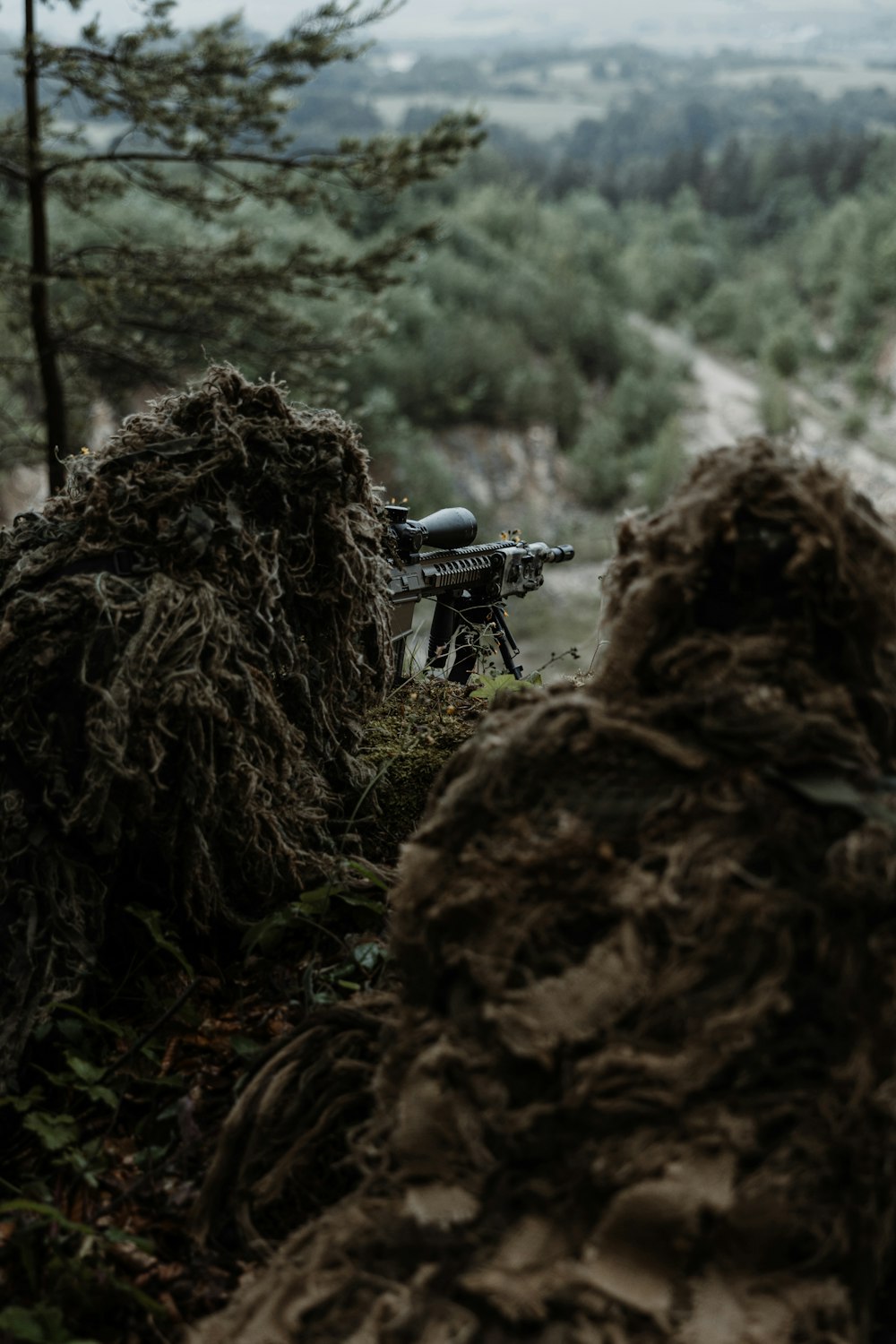 a rifle on a tripod in the woods