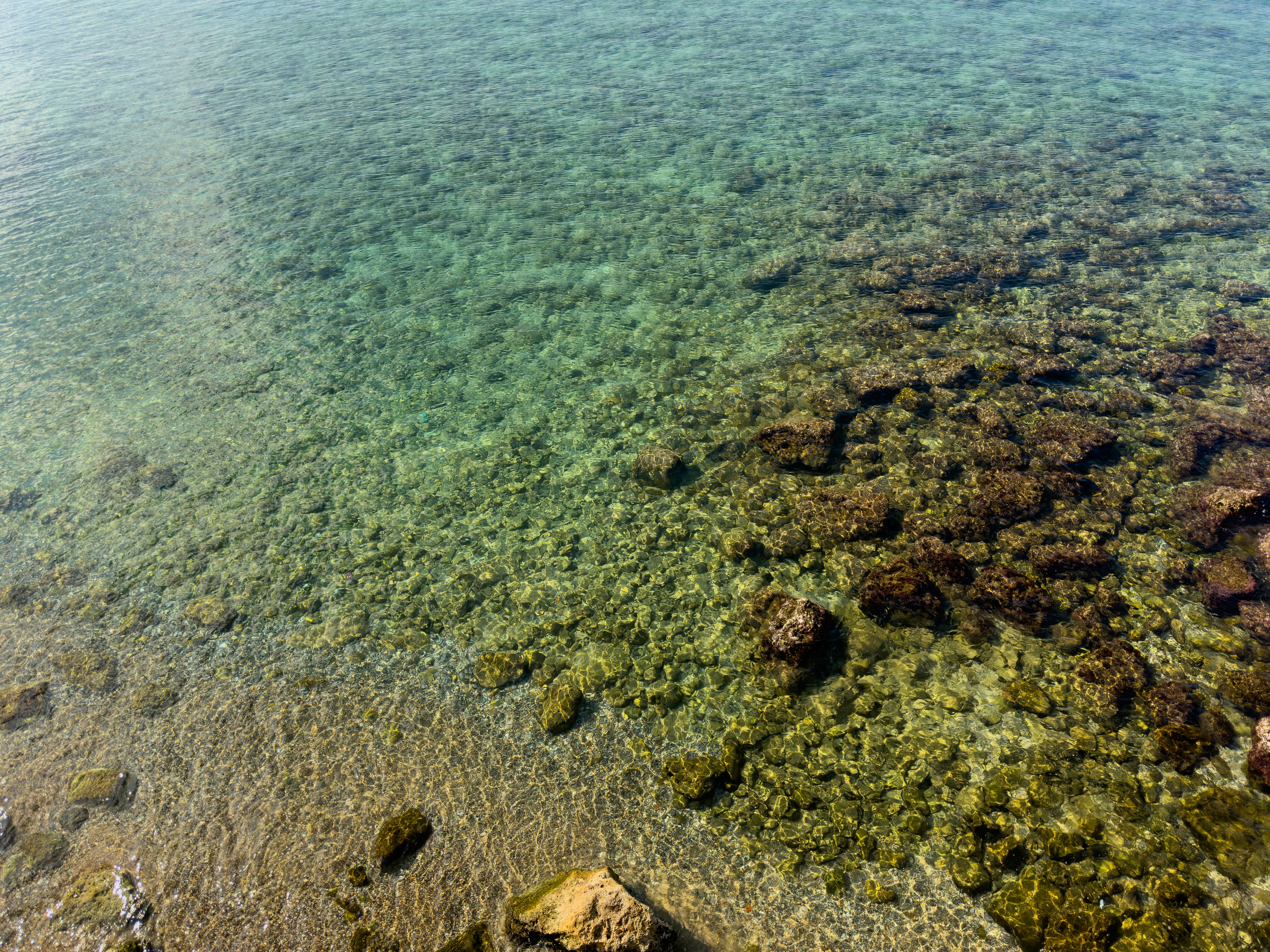 Photo by enginakyurt