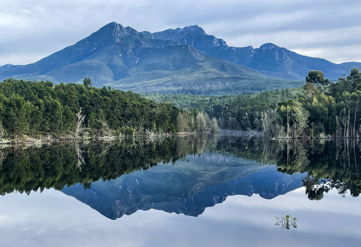 A rocky peak reflected in George Dam, with forest along the shore