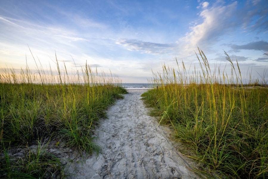 Hilton Head Island beach path through sea oats