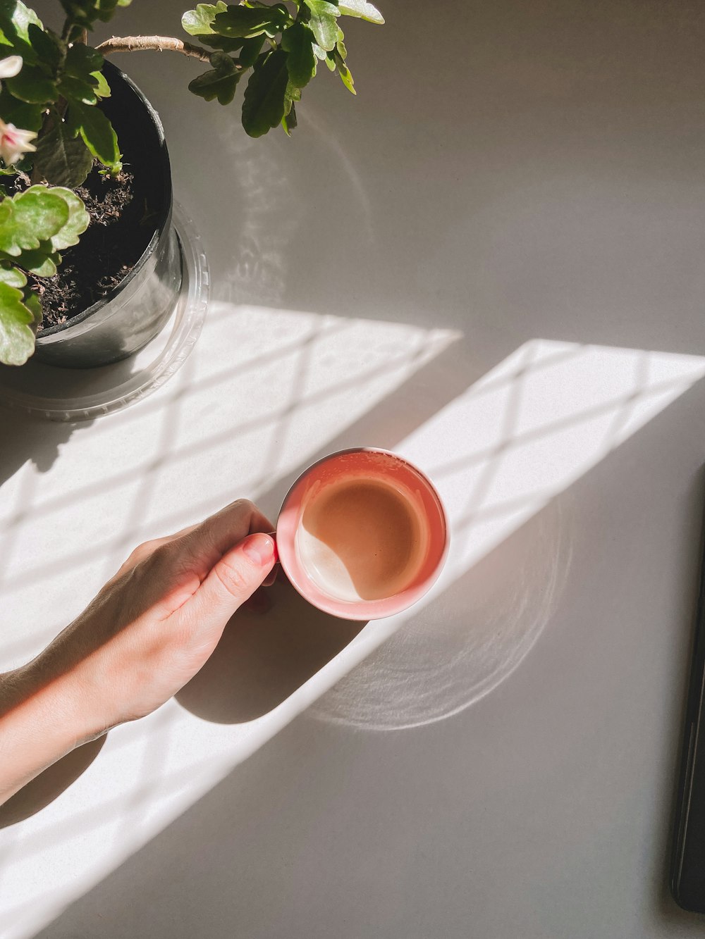 a person holding a cup of coffee on a table