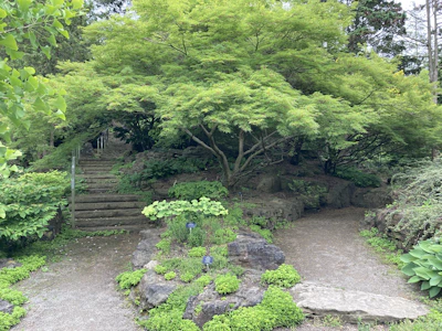 A serene photograph of a quiet garden path lined with soft gray stones and gentle greenery, inviting contemplation.