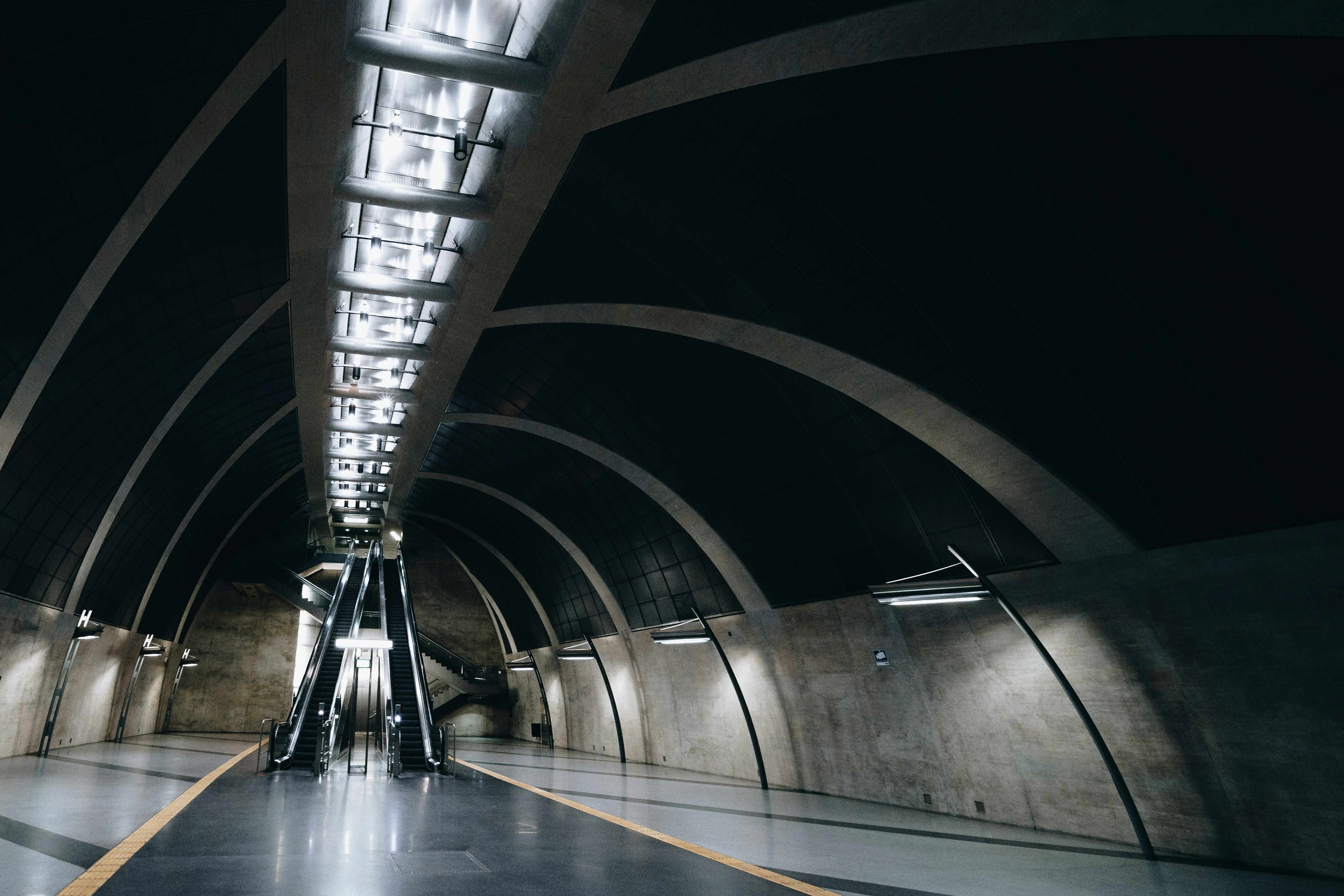 Photo by masoodaslami