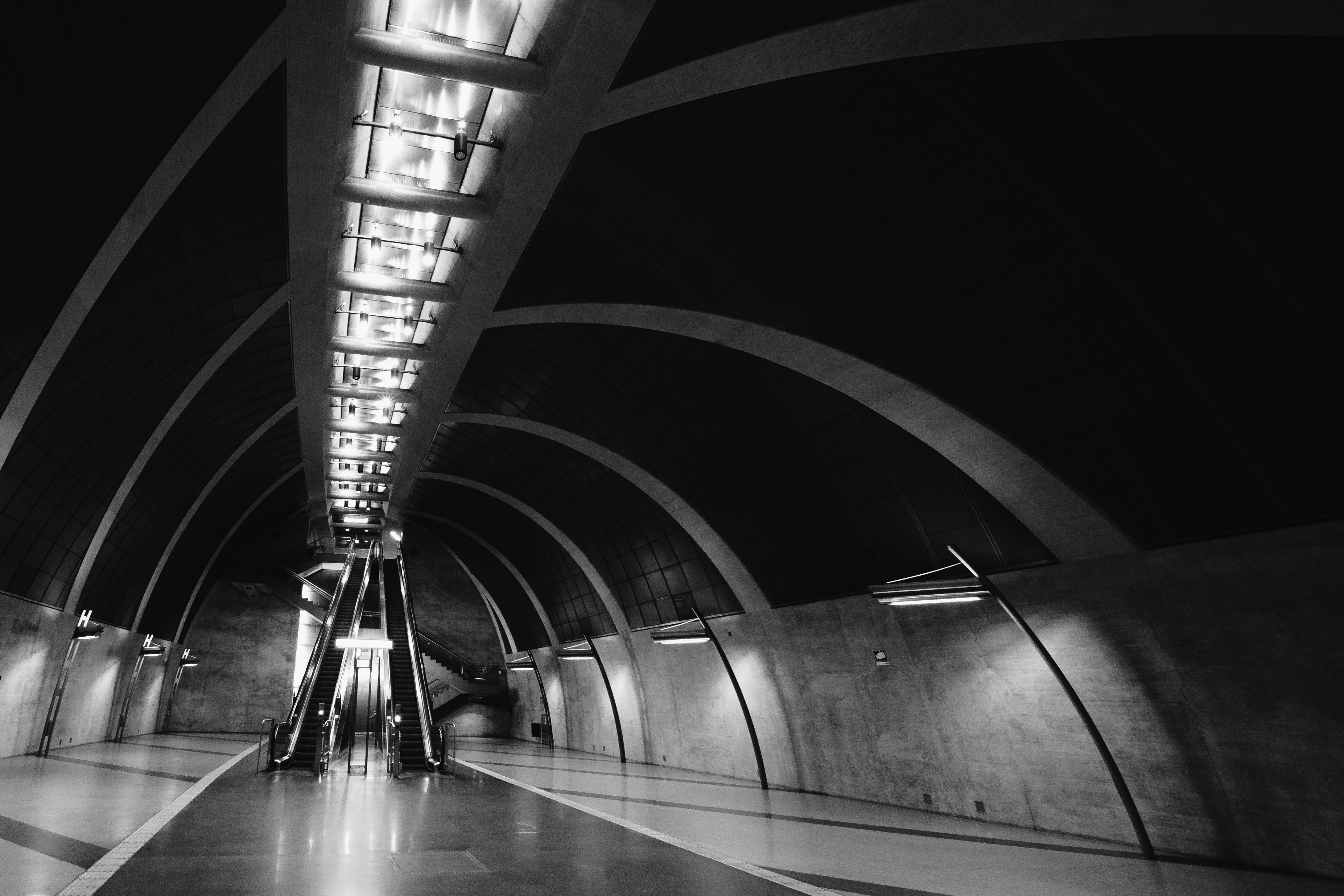 Photo by masoodaslami