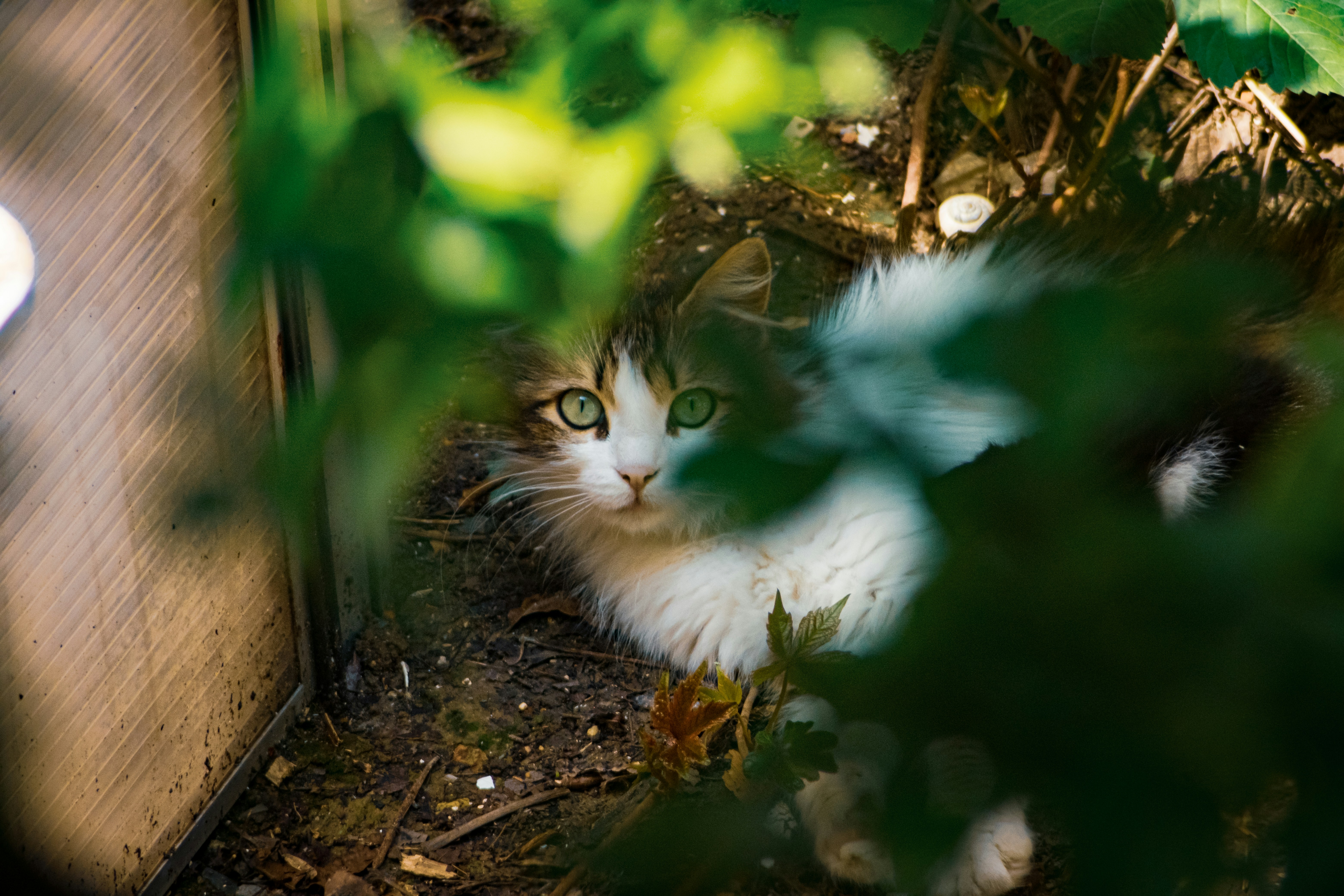 Soft Bedding and Cozy Blankets (image credits: unsplash)