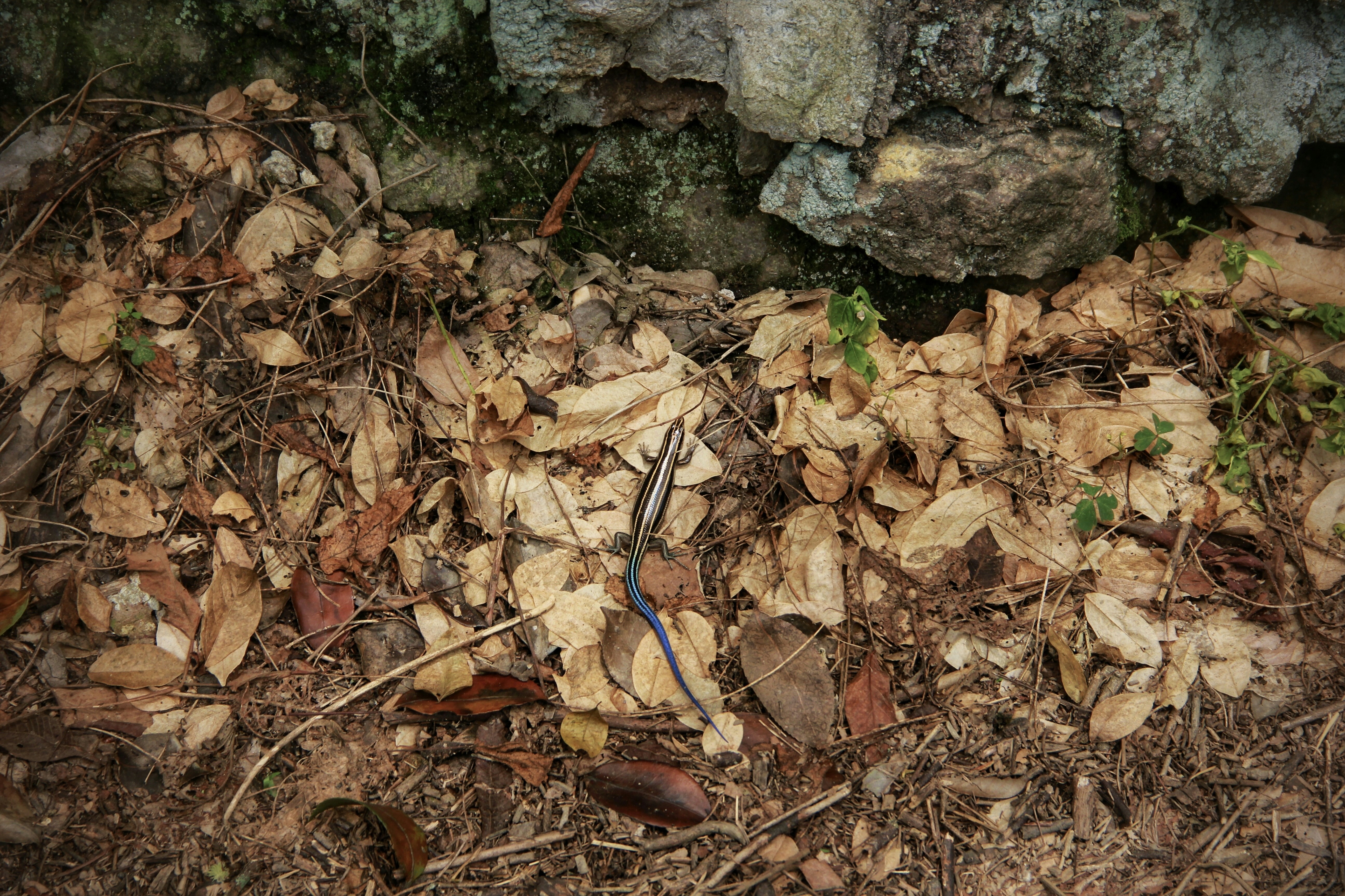 Photo by elliot_zhang