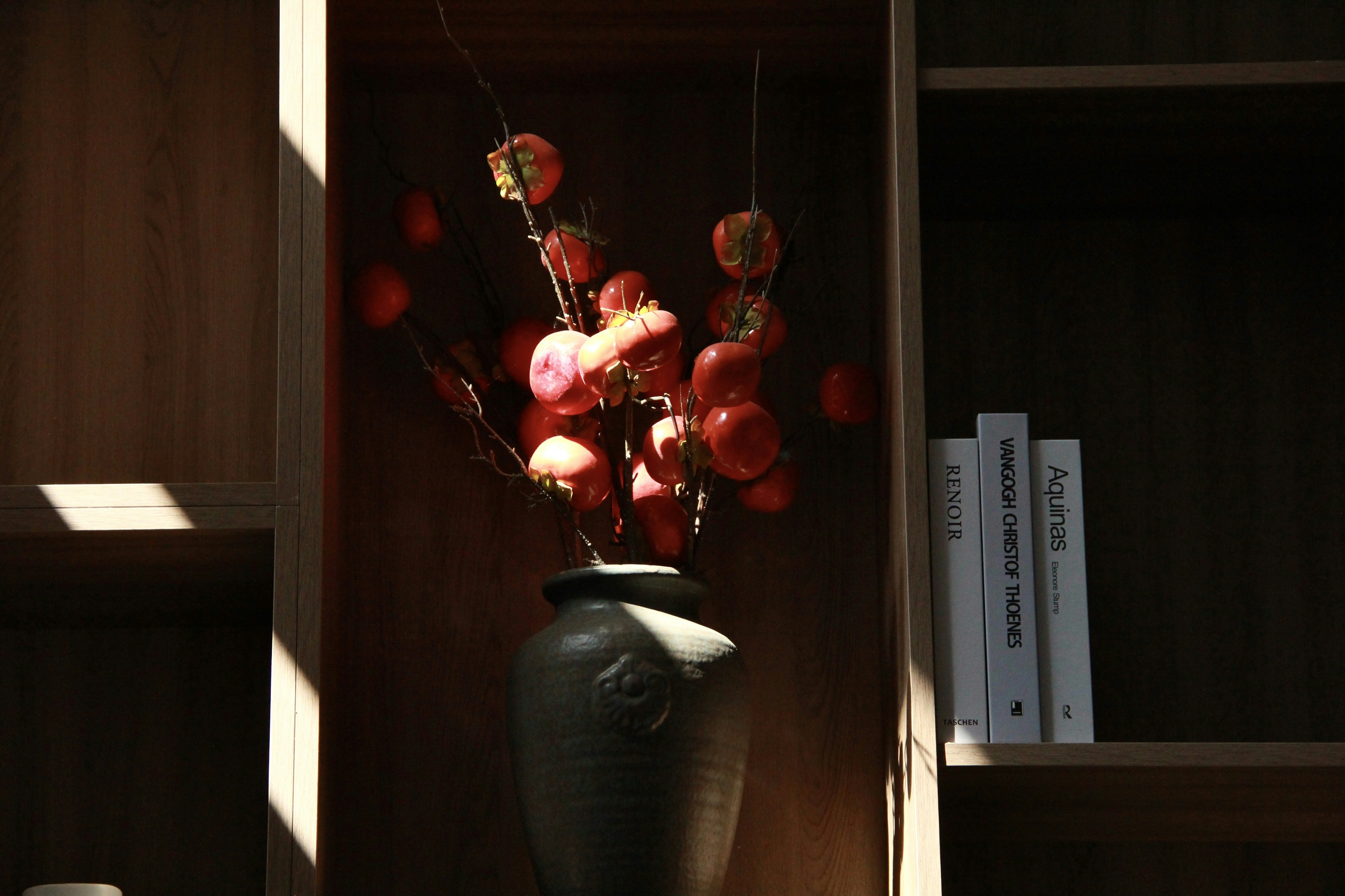 Photo by elliot_zhang