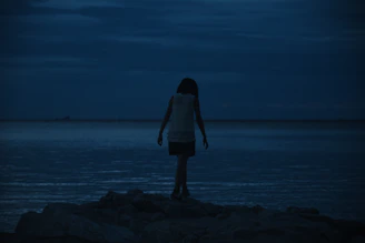 A cinematic black and white shot of a lone explorer on a rocky coastline at dusk.