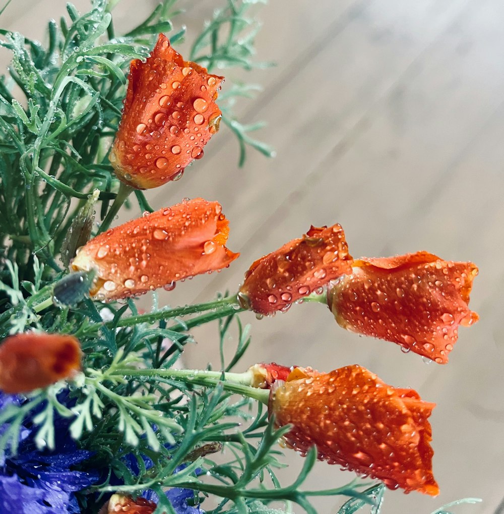 a bouquet of flowers with water droplets on them