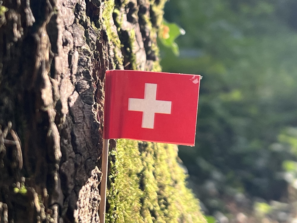 a swiss flag is hanging on a tree
