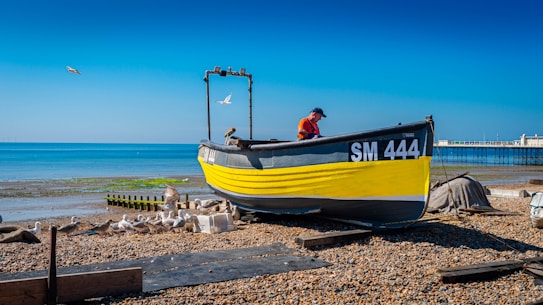 A vibrant yellow and black fishing boat with the identification SM 444 is positioned on a pebble-strewn beach by the seaside. A man in a red jacket is standing on the boat. In the background, the calm sea stretches out under a clear blue sky. Several seagulls are scattered on the shore, and a couple of them are captured mid-flight. A distant pier is visible on the right.