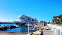 a large cruise ship docked at a dock