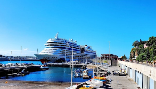 a large cruise ship docked at a dock