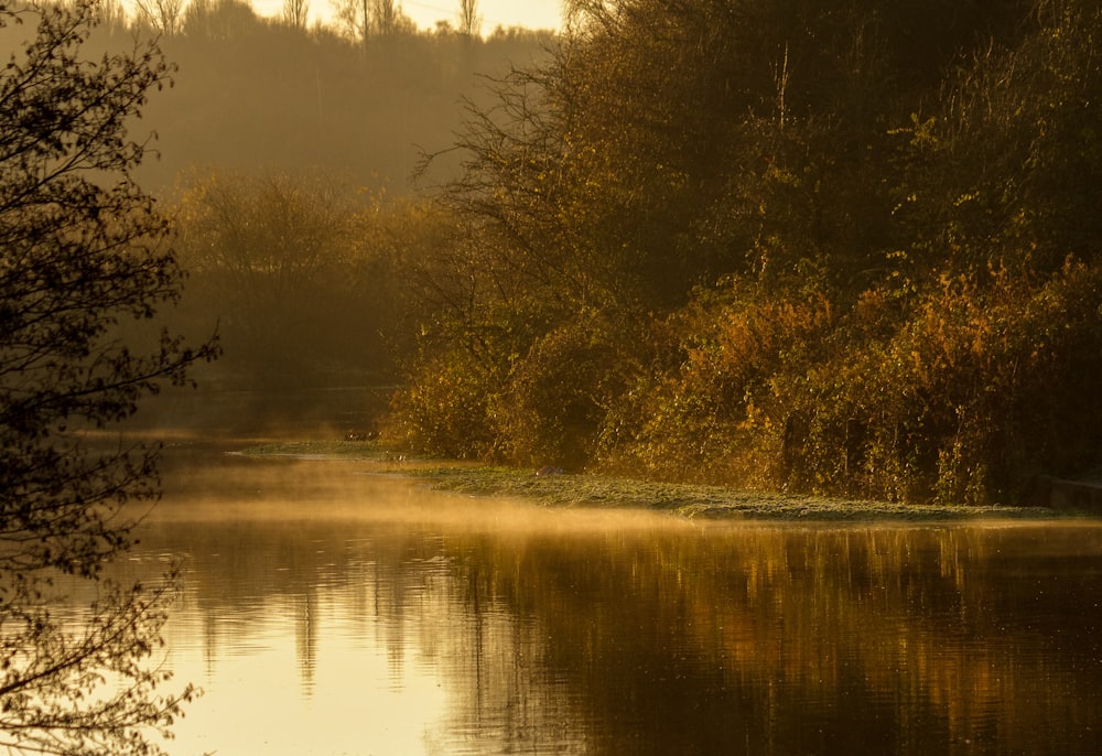 a body of water surrounded by trees and fog