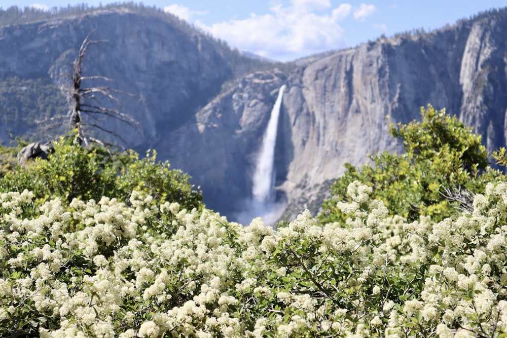 a view of a waterfall from the side of a mountain