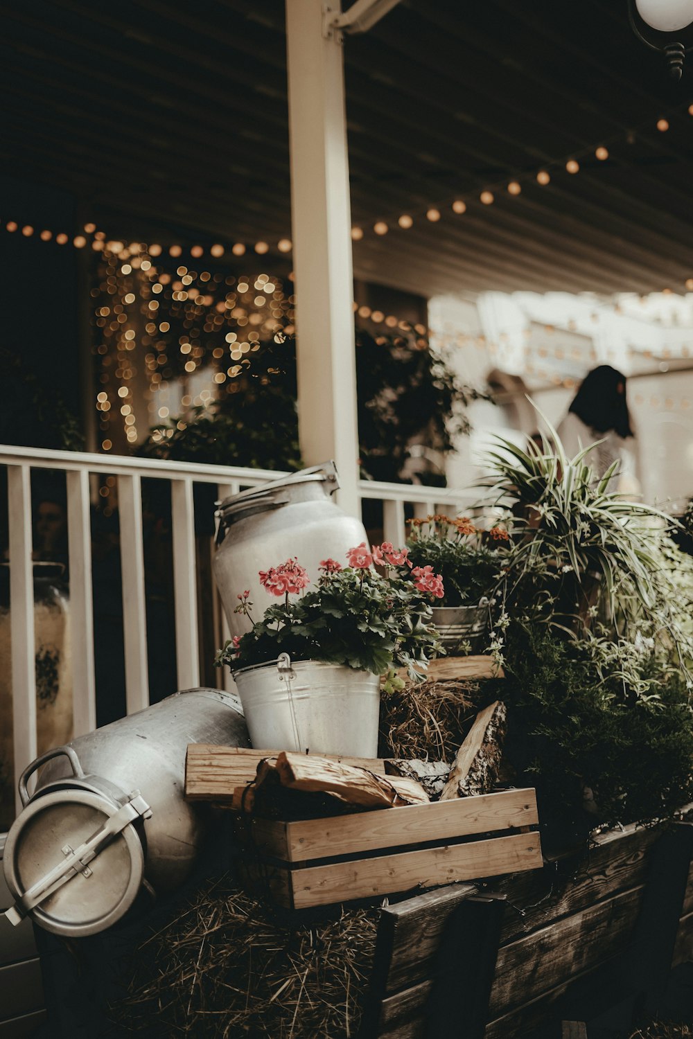 eine Holzkiste gefüllt mit Topfpflanzen auf einer Veranda