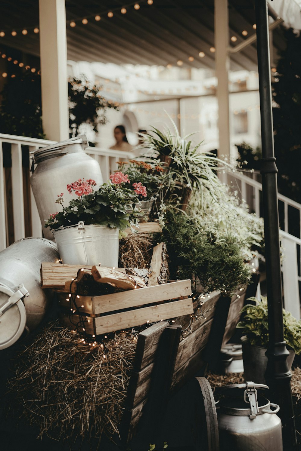 un bouquet de plantes assises sur une table