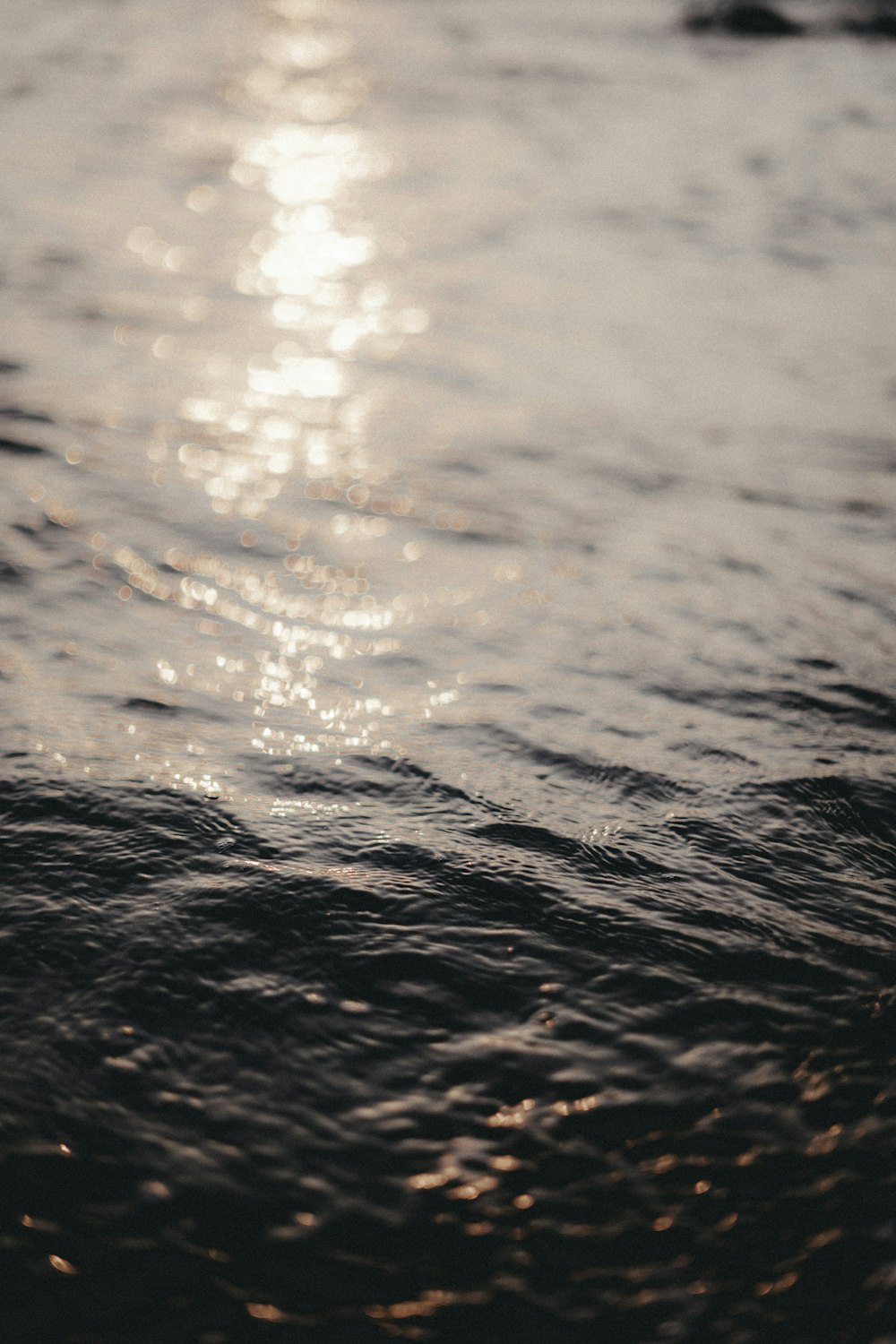 Un primer plano de un cuerpo de agua con el sol reflejándose en el agua