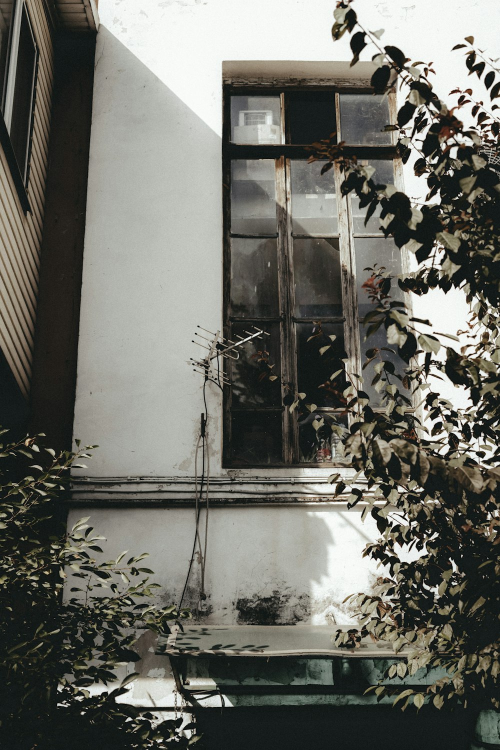 a building with a window and a ladder in front of it