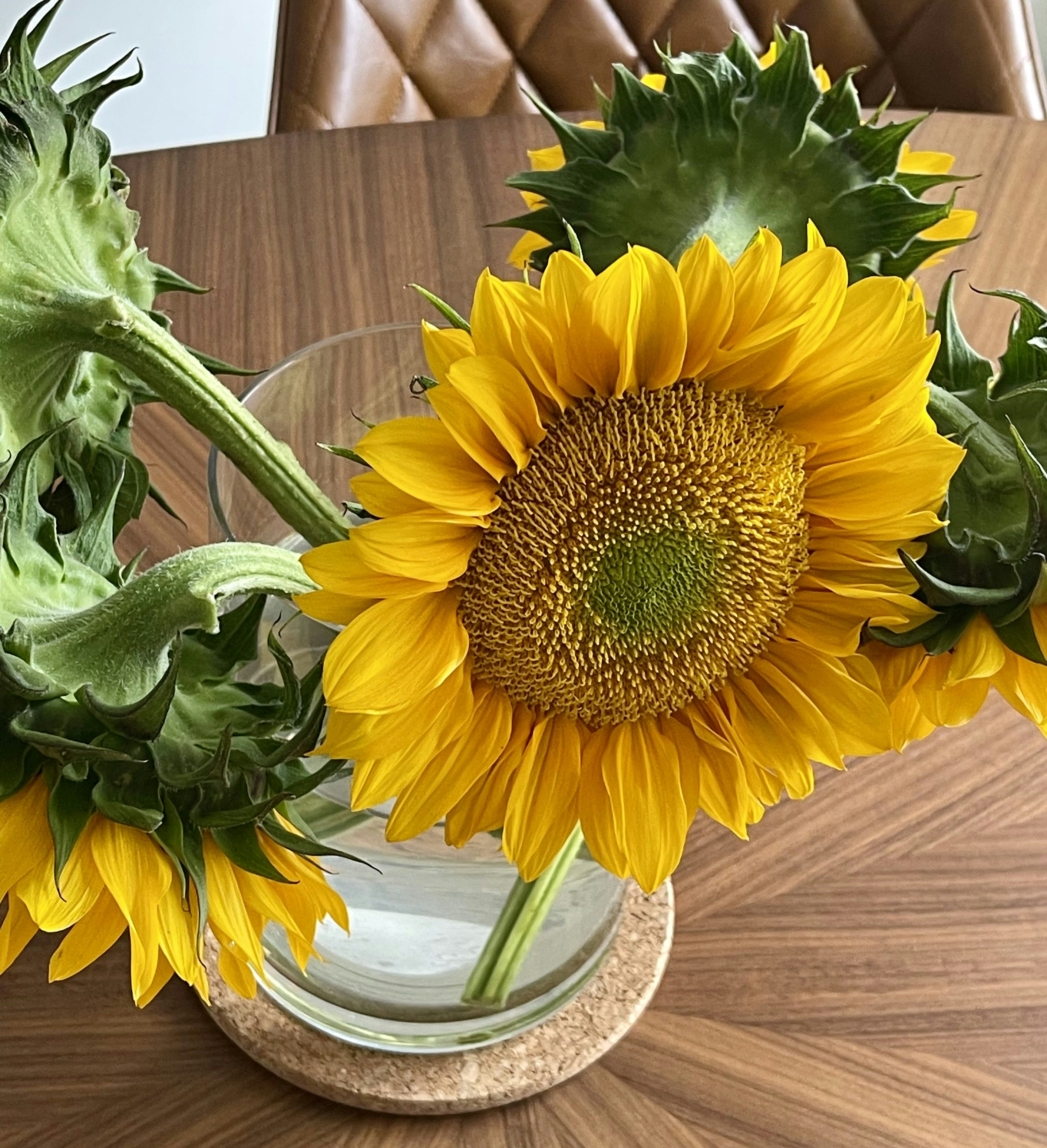 Bright yellow sunflower bunch with green leaves in clear glass vase on wooden table