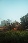 A rural hospital campus bathed in morning light, surrounded by open fields and trees.