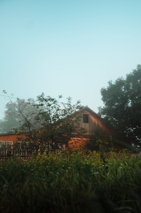 A rural hospital campus bathed in morning light, surrounded by open fields and trees.