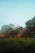 A warm, candid photo of a rustic farm stand bustling with happy customers under soft morning light.