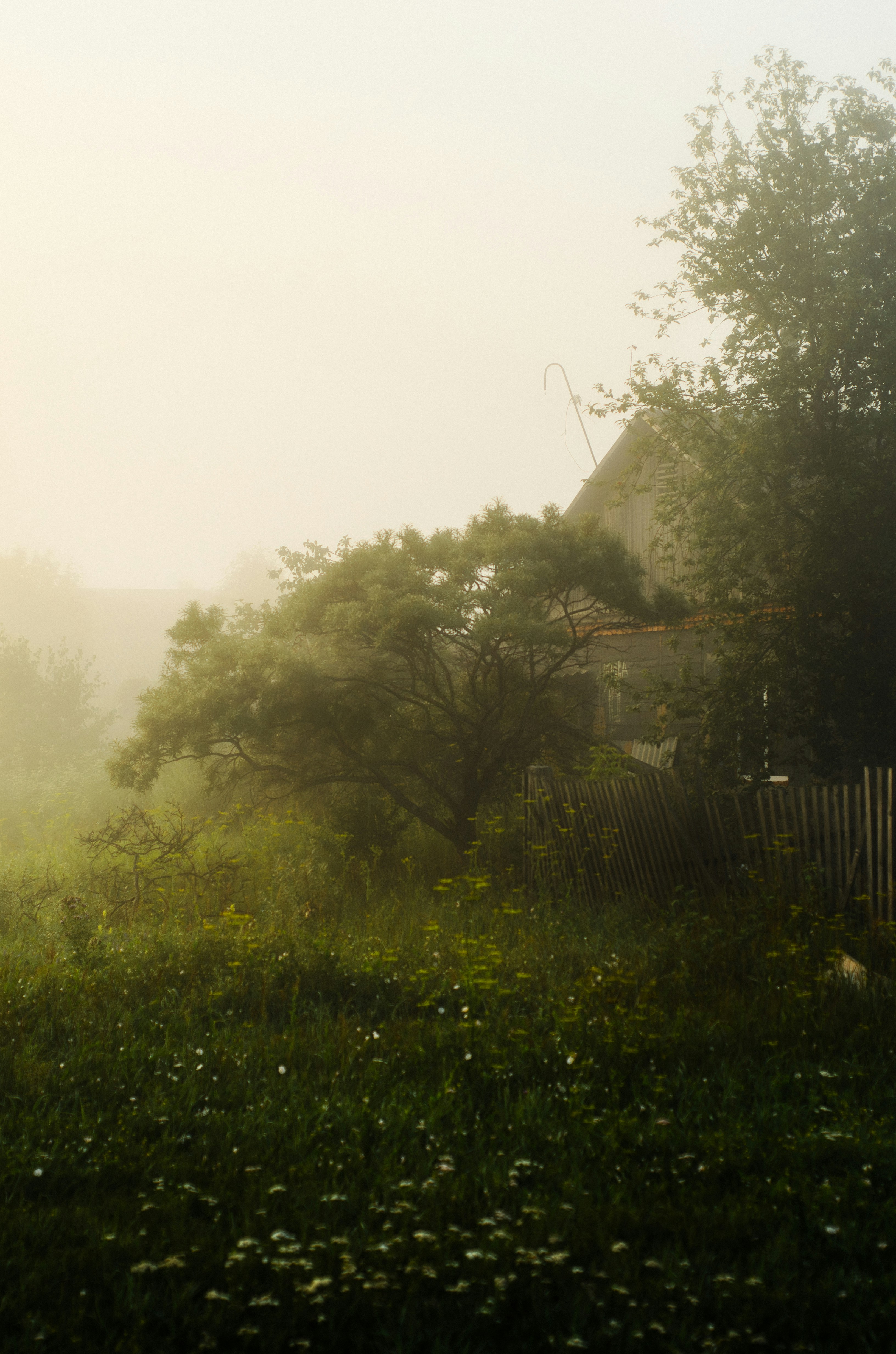 Photo by litvinov