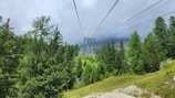 a view of a forest from a ski lift