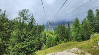 a view of a forest from a ski lift