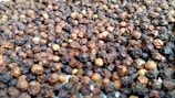 A close-up view of a large quantity of peppercorns, featuring various shades of brown and black with a few lighter beige ones. The texture is rough and wrinkled, indicating their dried state.