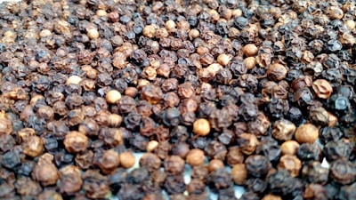 A close-up view of a large quantity of peppercorns, featuring various shades of brown and black with a few lighter beige ones. The texture is rough and wrinkled, indicating their dried state.