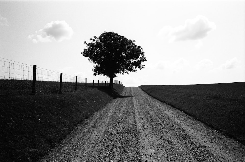 a dirt road with a tree on the side of it