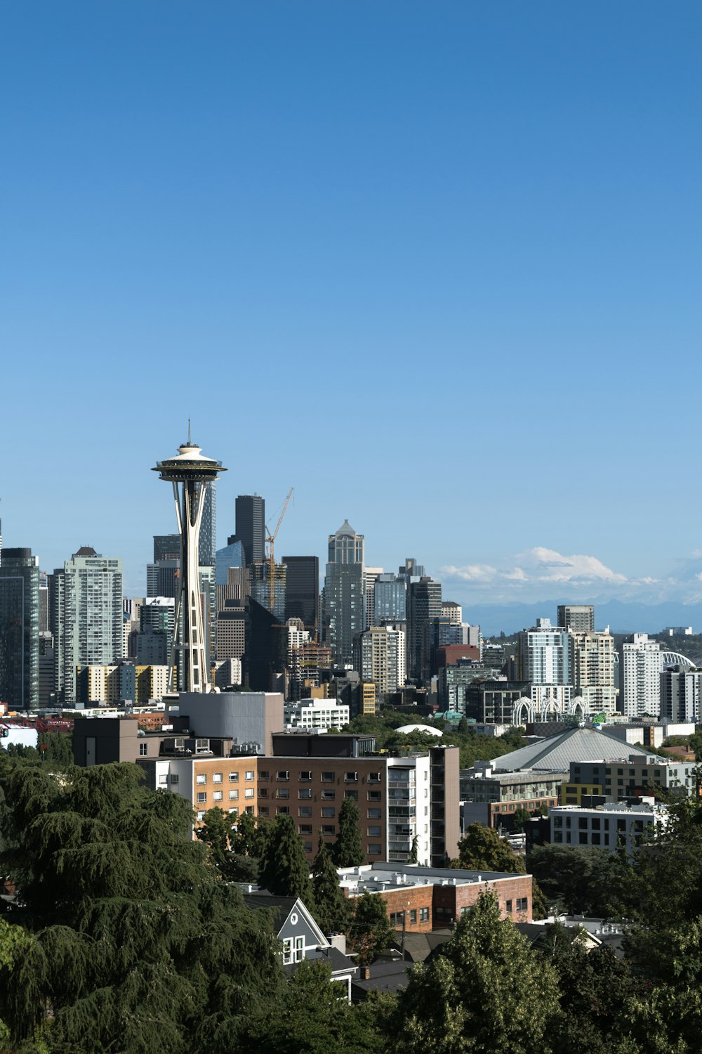 a view of the seattle skyline from the top of a hill