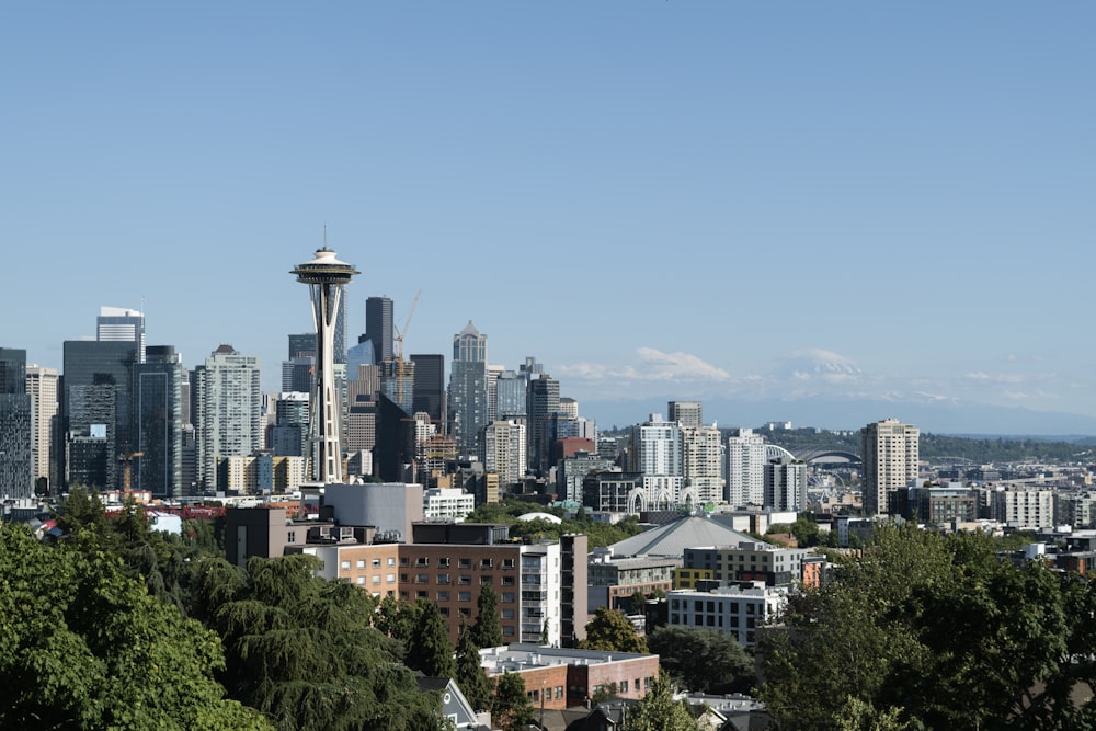 a view of the seattle skyline from the top of a hill