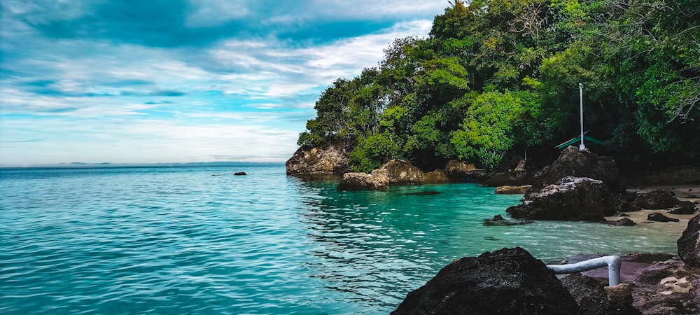 a body of water surrounded by trees and rocks